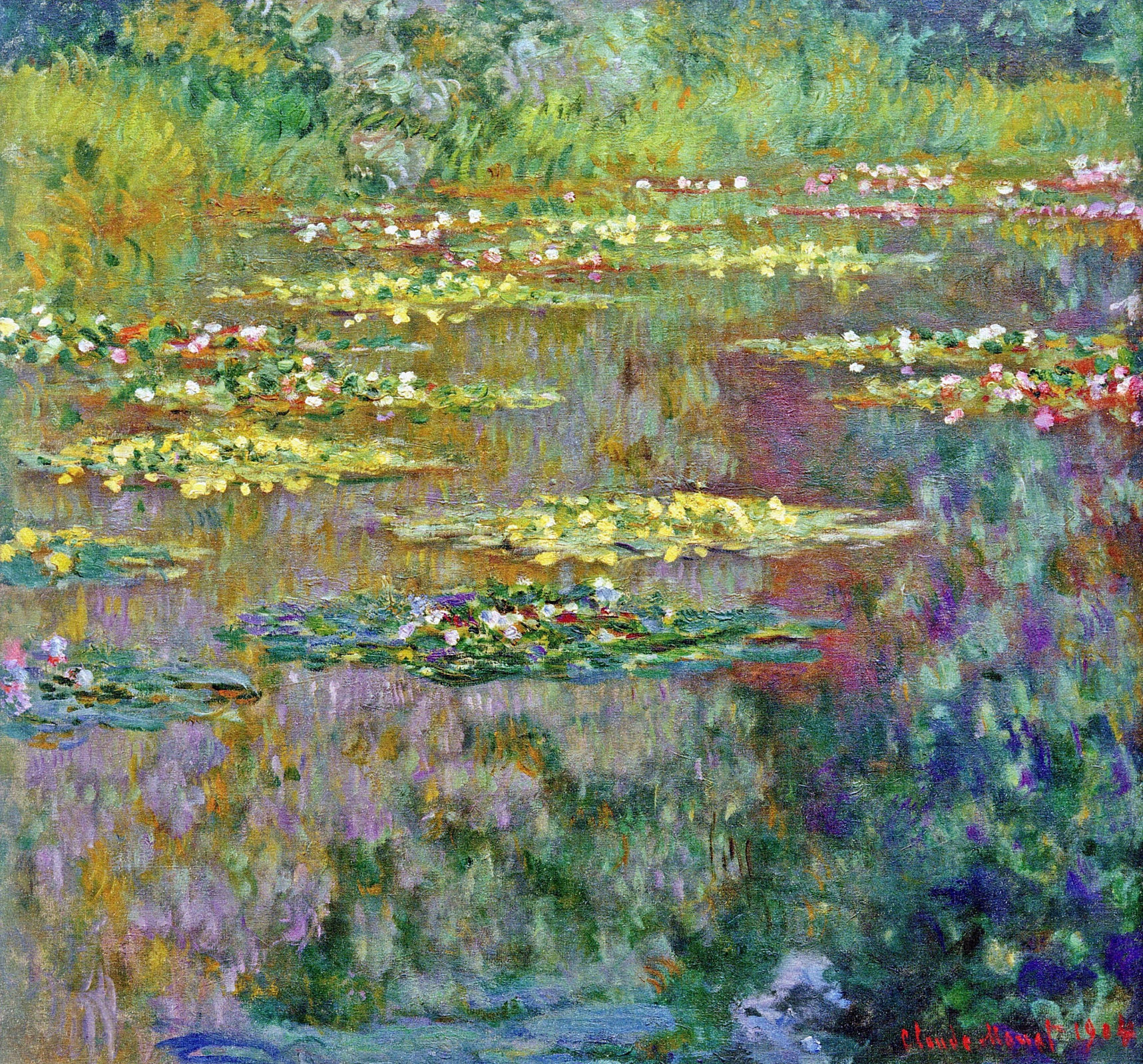 water-lilies-3 water-lilies-3